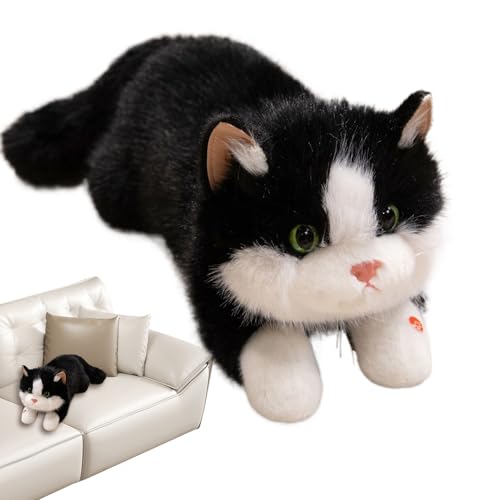 Genérico Niedliches Katzen-Plüschtier, niedliche Plüschtiere mit Sound, weiche interaktive Puppe mit Sound, zur Dekoration von Kinderzimmer, Schlafzimmer, Wohnzimmer, Schlafzimmer, Geburtstag Genérico Niedliches Katzen-Plüschtier, niedliche Plüschtiere mit Sound, weiche interaktive Puppe mit Sound, zur Dekoration von Kinderzimmer, Schlafzimmer, Wohnzimmer, Schlafzimmer, Geburtstag von Genérico