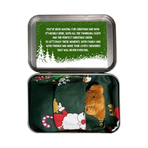 Weihnachten in einer | Mini Bär Pocket Plüsch Tier gefüllt | Tiny Bear in Box Gift Set mit Bettkarten | Süßes Spielzeug für Babyparty Geburtstag Urlaub Party Weihnachten in einer | Mini Bär Pocket Plüsch Tier gefüllt | Tiny Bear in Box Gift Set mit Bettkarten | Süßes Spielzeug für Babyparty Geburtstag Urlaub Party von Genérico