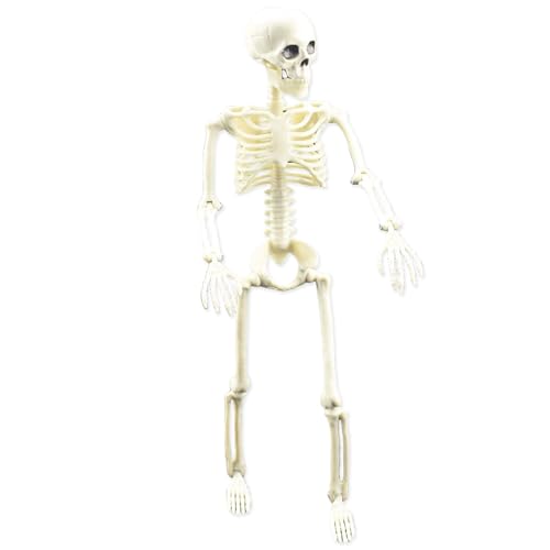 Actionfigur des Skeletts – Krieger-Skelett-Spielzeug für Hallowen-Szenen, Sammlerfigur von Knochen | Design mit beweglichen Gelenken, ideal für Erwachsene oder Erwachsene Actionfigur des Skeletts – Krieger-Skelett-Spielzeug für Hallowen-Szenen, Sammlerfigur von Knochen | Design mit beweglichen Gelenken, ideal für Erwachsene oder Erwachsene von Générique