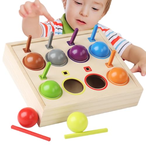 Générique Lernspielzeug, Farbsorting Balls, Preschool Kindergarten Learning Activities, Kids Wooden Matching Game, Lernspielzeug für Kinder ab 3 Jahren von Générique