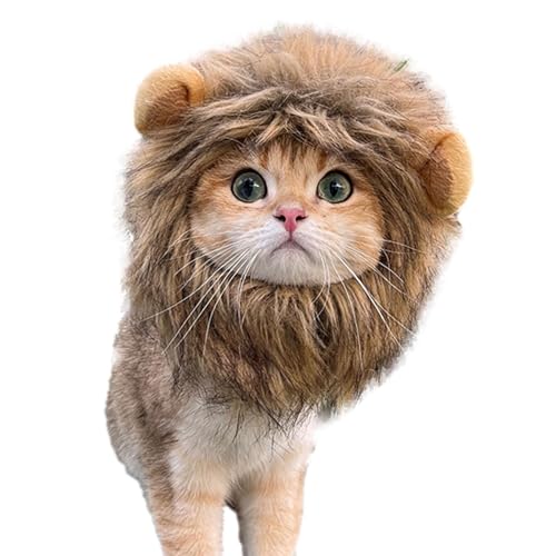 Katzenlöwenhaube, Löwenmähne für Kätzchen, Löwenmähne | Löwenhaar-Kostüm, Katze, Cosplay, Kleidung | Lustiges Kätzchen-Kostüm, Fantasie-Kostüm, Löwenhaarhut für Weihnachten, Hal von Générique