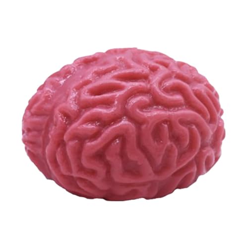 Knautschbälle für das Gehirn – Squishy Brain Fidget Splat Ball, lustiges Dekorationszubehör für Halloween | Kreatives Spielzeug zur Stressabbau, für den Soulag von Générique