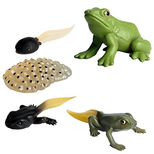 Spielzeug-Set mit Frosch-Insekten, Figuren des Lebenszyklus der Insekten, Nachtfalter, Spielzeug für den Lebenszyklus der Insekten, Schmetterling, Set mit Figuren aus dem Lebenszyklus von Générique