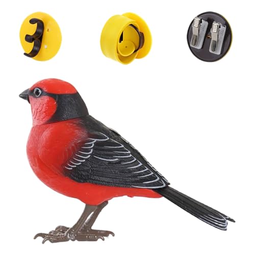 Sprechender Vogel – Figuren Vögel Kinder – Elektronisches sprechendes Haustier realistisch für Büro, ideal für sensorisches Spiel, Geburtstag, Aktivitäten im Freien, Raumdekoration, Geschenke Sprechender Vogel – Figuren Vögel Kinder – Elektronisches sprechendes Haustier realistisch für Büro, ideal für sensorisches Spiel, Geburtstag, Aktivitäten im Freien, Raumdekoration, Geschenke von Générique
