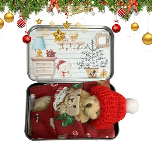 Taschenbär, Taschenbär-Umarmung | Weiches Plüschpuppenspielzeug – Taschenbär-Umarmungskarten-Set, Weihnachtsbox-Bär-Plüschpuppe, weiche Plüschpuppe von Générique