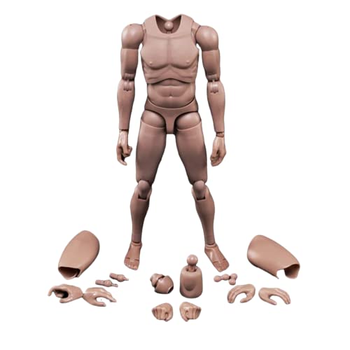 1/6 Männlicher Körper,12'' Europa Haut Actionfigur Körper Spielzeug MX02-A Für 1/6 Kopf Skulptur von Generisch