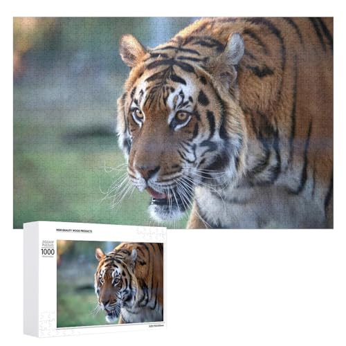 1000 Teile Lindenholz Tiger Puzzle Stressabbau Home Display 1000 Teile Lindenholz Tiger Puzzle Stressabbau Home Display von Generisch