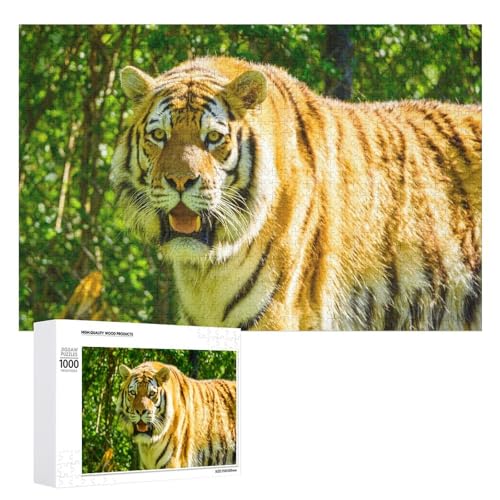 1000 Teile Lindenholz Tiger Puzzle für Naturliebhaber und Puzzle Fans 1000 Teile Lindenholz Tiger Puzzle für Naturliebhaber und Puzzle Fans von Generisch