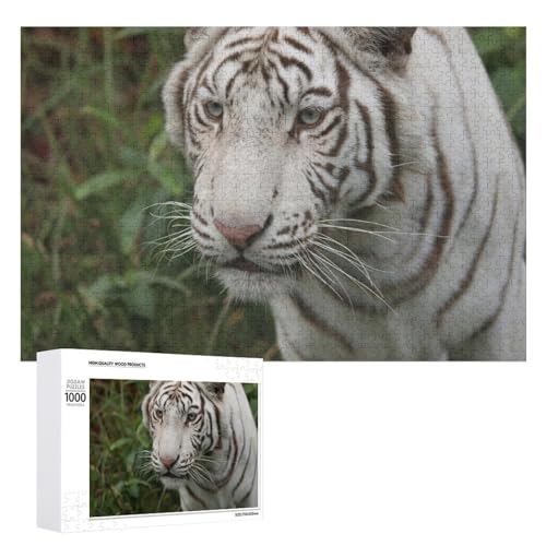 1000 Teile Tiger Illustration Puzzle für Naturliebhaber und Puzzlefans 1000 Teile Tiger Illustration Puzzle für Naturliebhaber und Puzzlefans von Generisch