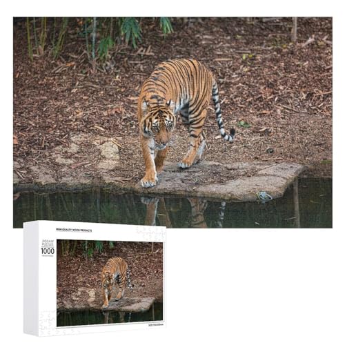1000 Teile Tiger Kunst Puzzle für Wohnkultur und Entspannung 1000 Teile Tiger Kunst Puzzle für Wohnkultur und Entspannung von Generisch