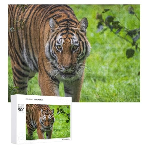 500-teiliges Tigerpuzzle aus Lindenholz, Stressabbau und Heimdisplay 500-teiliges Tigerpuzzle aus Lindenholz, Stressabbau und Heimdisplay von Generisch