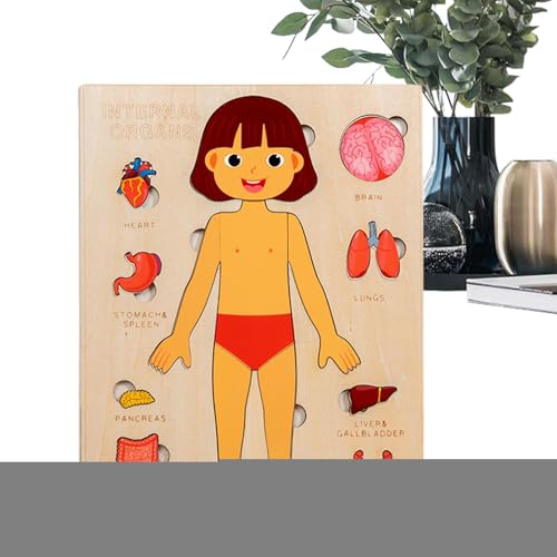 Anatomie Für Kinder | Holz Lernpuzzle Körper,Wissenschaftliches Spielzeug Für Kleinkinder Und Kinder Mädchen Kindergarten Schule Unterricht Anatomie Für Kinder | Holz Lernpuzzle Körper,Wissenschaftliches Spielzeug Für Kleinkinder Und Kinder Mädchen Kindergarten Schule Unterricht von Generisch