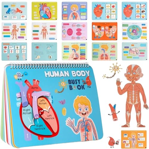 Anatomiebuch des menschlichen Körpers – Interaktives Lernspielzeug Vorschulkinder | Lehrreiches Anatomiebuch für 4-8-Jährige, perfekt für zu Hause, den Kindergarten, die Kindertagesstätte und Reisen von Generisch