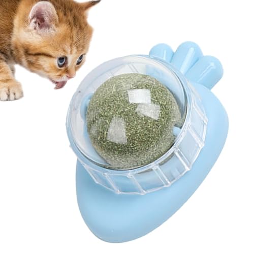 Catnip Balls für Katzen Wand,Wall Catnip Roller zum Lecken von Katzen - Interaktives Katzen-Leck-Kau-Spielzeug für den Innenbereich, Katzenspielzeug, Katzenwand-Leckereien für die Reinigung der Katzen von Generisch