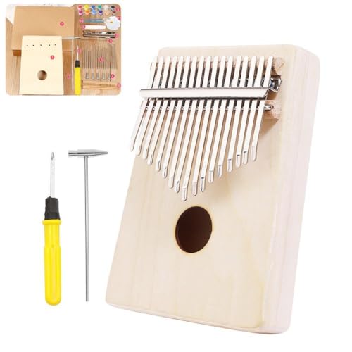 Daumenklavier 17 Tasten, mit Mal-Stimmhammer und Pinsel, Thumb Make Kit, Piano Your Own Thumb Piano, Gi von Generisch