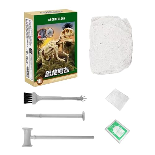 Dino-Grabset, Dinosaurier-Grabset für Fossilien, Dino-Skelett-Ausgrabungsspielzeugmodell, Dinosaurier-Fossil-Ausgrabungsmodell, 3D-Skelett-Puzzle Dino für Schule, Kindergarten, Kindergarten von Generisch