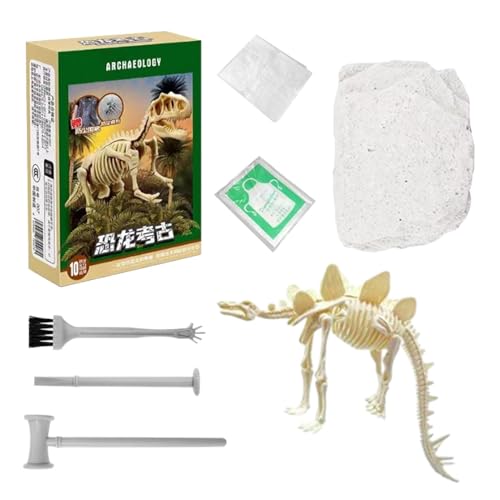 Dino-Grabset, Dinosaurier-Grabset für Fossilien, Skelett grabendes Dino-Spielzeug, Dinosaurier-Fossil-Ausgrabungsmodell, 3D-Skelett-Puzzle Dino für Schule, Kindergarten, Kindergarten von Generisch