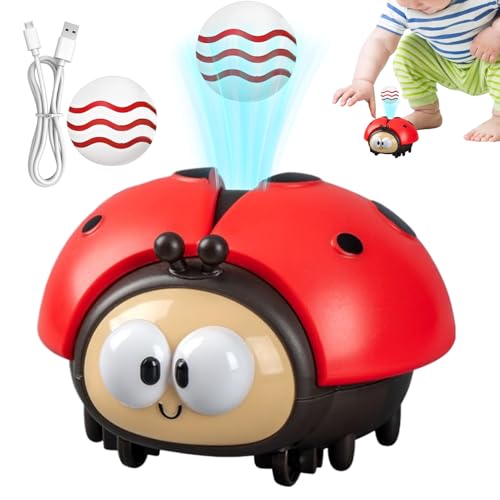 Elektrisch Schweben Ball Für Kinder - Marienkäfer STEM Lernspielzeug Set - Interaktives USB Aufladbares Lernspielzeug Für Vorschule Kindergarten Elektrisch Schweben Ball Für Kinder - Marienkäfer STEM Lernspielzeug Set - Interaktives USB Aufladbares Lernspielzeug Für Vorschule Kindergarten von Generisch