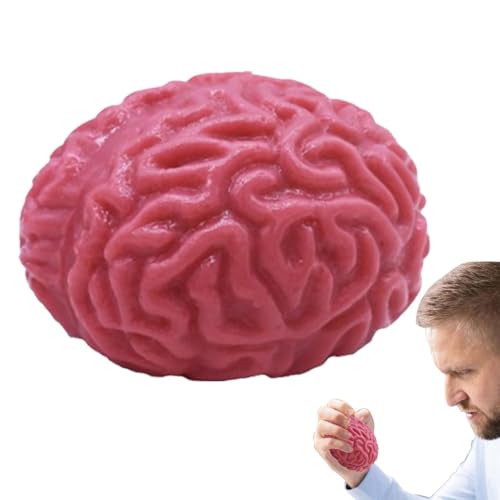 Gehirn durchsuchen Bälle - Realistisches Gefälschtes Organ | Squeezy Brain Ball, Gehirnpressspielzeug, Zerebralstress Spielzeug, Blutiges Squeeze Spielzeug D Gehirn durchsuchen Bälle - Realistisches Gefälschtes Organ | Squeezy Brain Ball, Gehirnpressspielzeug, Zerebralstress Spielzeug, Blutiges Squeeze Spielzeug D von Generisch