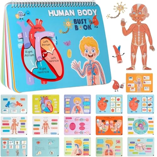 Generisch Anatomy Book, Human Body Fun Facts, Ages 4 to 8 Preschool Anatomy Book, Kids Experiments and Activities Anatomy Book for Home, Kindergarten, Nurser, Train, Human Body Activity Book for Kids von Generisch