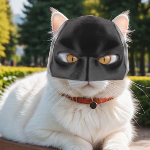 Generisch Batcat-Maske, Bat Maske für Katzen, Lustige Schwarze Fledermausmaske für Katzen, Katzenbekleidung Haustierkostüm für Halloween oder den Täglichen Spaß von Generisch