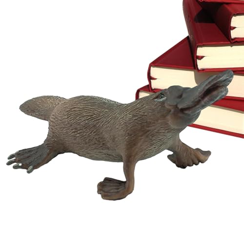 Generisch Schnabeltier Figur | Wildlife Figuren Modell Spielsets,Waldtierfiguren Spielzeug Home Office Dekoration Ornament Kinder Schnabeltier Spielzeug Generisch Schnabeltier Figur | Wildlife Figuren Modell Spielsets,Waldtierfiguren Spielzeug Home Office Dekoration Ornament Kinder Schnabeltier Spielzeug von Generisch