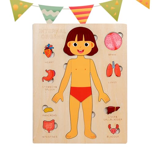 Kinder Anatomie Spielzeug,Pädagogisches Holz Puzzle Vom Menschlichen Körper | Entwicklungsspielzeug Für Kinder Im Krankenhaus Für Mädchen Jugendliche Studenten Und Kleinkinder In Kinder Anatomie Spielzeug,Pädagogisches Holz Puzzle Vom Menschlichen Körper | Entwicklungsspielzeug Für Kinder Im Krankenhaus Für Mädchen Jugendliche Studenten Und Kleinkinder In von Generisch