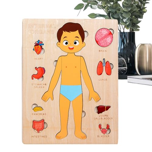 Kinder Anatomie Spielzeug - Holz Lernspielzeug Menschliche Körperteile - Wissenschaftliches Spielzeug Für Kleinkinder Und Kinder Mädchen Kindergarten Schule Unterricht Kinder Anatomie Spielzeug - Holz Lernspielzeug Menschliche Körperteile - Wissenschaftliches Spielzeug Für Kleinkinder Und Kinder Mädchen Kindergarten Schule Unterricht von Generisch