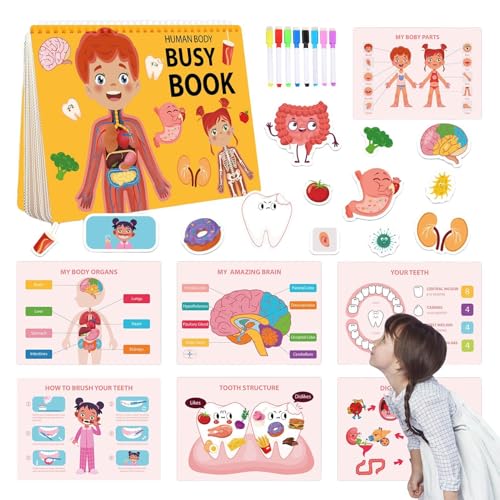 Körperbeschäftigtes Buch, menschliches Körperbuchbuch für Kinder | Bildungspädagogik Reiseaktivität | Sensorische Bildungsreise-Anatomie-Buchspielzeug für und Mädchen 4-8 Jahre von Generisch