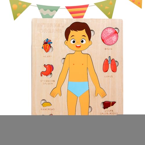 Körperteile Für Kinder - Holz Lernpuzzle Körper | Wissenschaftliches Spielzeug Für Kleinkinder Und Kinder Mädchen Kindergarten Schule Unterricht Körperteile Für Kinder - Holz Lernpuzzle Körper | Wissenschaftliches Spielzeug Für Kleinkinder Und Kinder Mädchen Kindergarten Schule Unterricht von Generisch