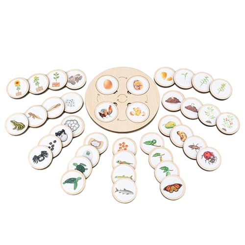 Lebenszyklus -Puzzletablett - Holz Matching Kit für Kinder | Tier, Pflanzen, Insektenwachstumsstufen Spiel, Bildungsspielzeug für Bildung, Schulwissenschaft, STEM -Lerngeschenk für Kleinkinder und Kin Lebenszyklus -Puzzletablett - Holz Matching Kit für Kinder | Tier, Pflanzen, Insektenwachstumsstufen Spiel, Bildungsspielzeug für Bildung, Schulwissenschaft, STEM -Lerngeschenk für Kleinkinder und Kin von Generisch