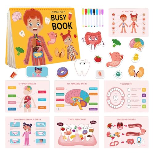 Menschlicher Körperbeschäftigung Buch, Body -Busy -Buch | Bildungspädagogik Reiseaktivität | Anatomiebuch für Kinder mit verschiedenen Teilen des Body Educational-Lernens sensorisches Spielzeug für Mä von Generisch