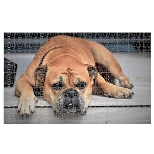 Personalisiert Puzzle,Haustier Puzzle,Fotopuzzle mit Eigenem Haustier Bild Text Namen,Erinnerungsfotopuzzles Für Hunde, Katzen Und Andere Haustiere - 120/500/1000 Teile (1 Bild, 1000 pcs) von Generisch