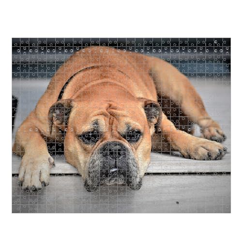 Personalisiert Puzzle,Haustier Puzzle,Fotopuzzle mit Eigenem Haustier Bild Text Namen,Erinnerungsfotopuzzles Für Hunde, Katzen Und Andere Haustiere - 120/500/1000 Teile (1 Bild, 500 pcs) von Generisch