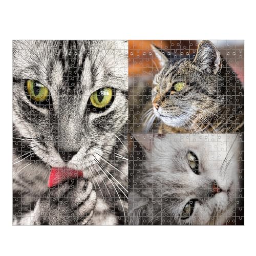 Personalisiertes Puzzle,Puzzle Mit Eigenem Foto,Gestalte Dein Individuelles Fotopuzzle für Geburtstage, Muttertag, Valentinstag & Hochzeiten - 120/500/1000 Teile (3 Bild, 500 pcs) von Generisch