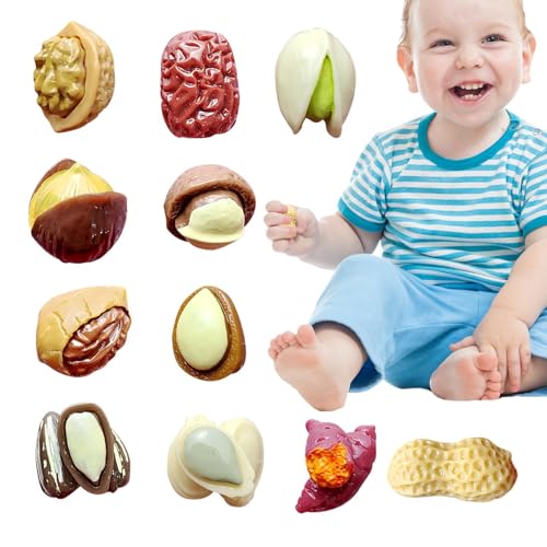 Play House Food,Simulierte Nüsse | 11-teiliges Spielzeug zum Spielen von Jujube-Snacks für Kinder,Miniatur-Ornament-Spielhaus-Requisiten für frühes Lernen für Hof, Kindergarten, Klassenzimmer von Generisch