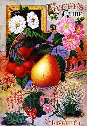 Puzzle 1000 Teile 1896 Lovett's Guide Vintage Blumen Samen Paket Katalog Werbung Druck Wandkunst Holzpuzzle Spielzeug Spiele für Erwachsene Kinder Kinder Jugendliche Geschenk von Generisch