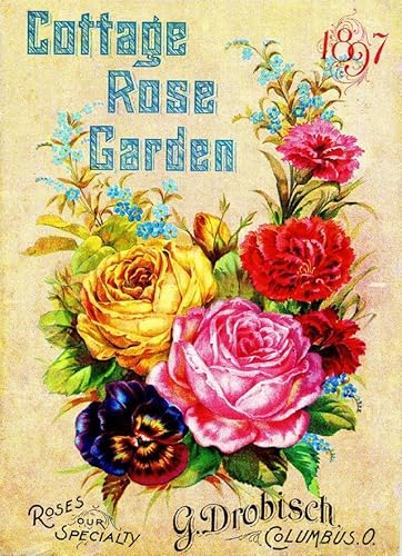 Puzzle 1000 Teile 1897 Cottage Rose Vintage Blumen Samen Paket Katalog Werbung Druck Wandkunst Holzpuzzle Spielzeug Spiele für Erwachsene Kinder Kinder Jugendliche Geschenk von Generisch