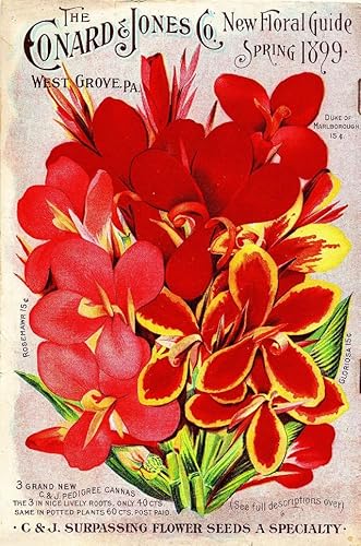 Puzzle 1000 Teile 1899 Conard Floral Vintage Blumen Samen Paket Katalog Werbung Druck Wandkunst Holzpuzzle Spielzeug Spiele für Erwachsene Kinder Kinder Jugendliche Geschenk von Generisch