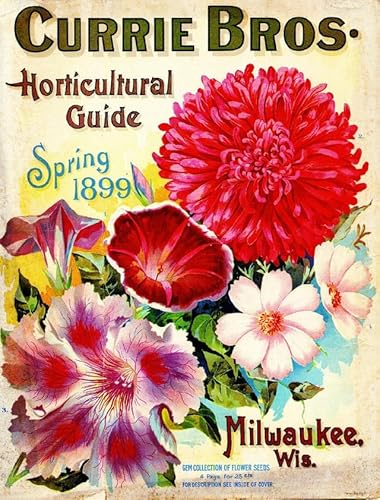 Puzzle 1000 Teile 1899 Currie Horticul Vintage Blumen Samen Paket Katalog Werbung Druck Wandkunst Holzpuzzle Spielzeug Spiele für Erwachsene Kinder Kinder Jugendliche Geschenk von Generisch