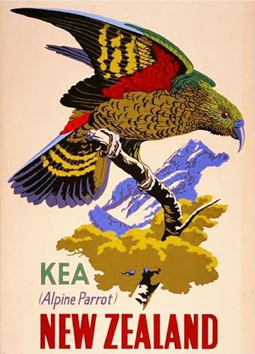 Puzzle 1000 Teile Neuseeland Kea Alpine Papagei Vogel Vintage Reise Werbung Kunstdruck Wandkunst Holzpuzzle Spielzeug Spiele für Erwachsene Kinder Kinder Jugendliche Geschenk von Generisch