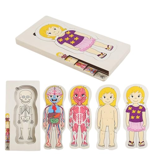 Puzzles Für Kinder | Anatomie Holzpuzzle Spielzeug,Lernspiel Für Vorschule Und Mädchen Kindergartenkinder Zur Anatomie Entdeckung Puzzles Für Kinder | Anatomie Holzpuzzle Spielzeug,Lernspiel Für Vorschule Und Mädchen Kindergartenkinder Zur Anatomie Entdeckung von Generisch