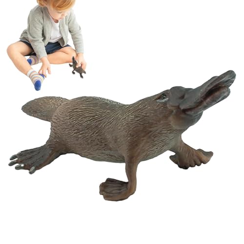 Spielzeugfigur | Realistische Schnabeltier-Actionfigur - Realistische Vögel Tierfiguren Spielzeug, Tropische Wildtierfiguren Spielzeug, Statue, Lernspielzeug Spielzeugfigur | Realistische Schnabeltier-Actionfigur - Realistische Vögel Tierfiguren Spielzeug, Tropische Wildtierfiguren Spielzeug, Statue, Lernspielzeug von Generisch