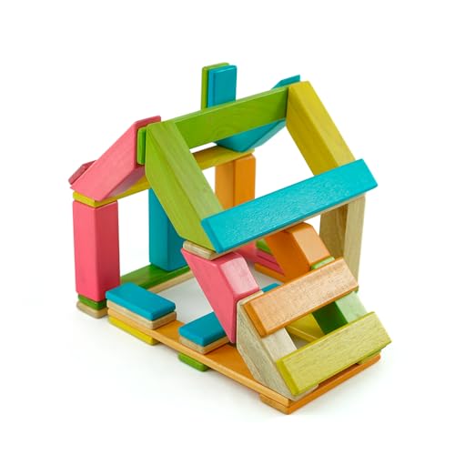 Tegu Magnetisches Entdeckerset Bunt 40-teilig Magnetische Holzbausteine Holzset Holzspielzeug Bausteine für Kinder Tegu Magnetisches Entdeckerset Bunt 40-teilig Magnetische Holzbausteine Holzset Holzspielzeug Bausteine für Kinder von Generisch