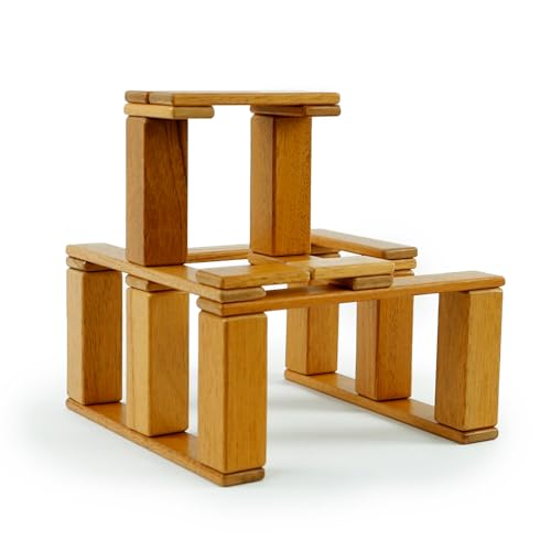 Tegu Magnetisches Entdeckerset Mahogany 22-teilig Magnetische Holzbausteine Holzset Holzspielzeug Bausteine für Kinder Tegu Magnetisches Entdeckerset Mahogany 22-teilig Magnetische Holzbausteine Holzset Holzspielzeug Bausteine für Kinder von Generisch