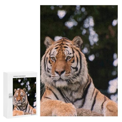 Tiger im Wald 300 Teile Set Holzpuzzle - Hartholz, perfektes kreatives Geschenk für Sammler Tiger im Wald 300 Teile Set Holzpuzzle - Hartholz, perfektes kreatives Geschenk für Sammler von Generisch