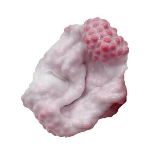 Trauben Stressball, Squeeze Grape Stress Ball Mit Kleinen Perlen, Bunte Sensorisch Fidget Squishy Bälle, Formbares Quetschspielzeug, Stress Relief Spielzeug Für Kinderb Erwachsene Trauben Stressball, Squeeze Grape Stress Ball Mit Kleinen Perlen, Bunte Sensorisch Fidget Squishy Bälle, Formbares Quetschspielzeug, Stress Relief Spielzeug Für Kinderb Erwachsene von Generisch