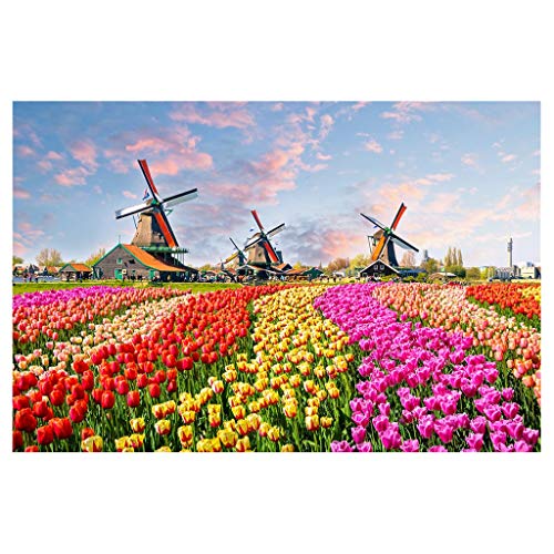 Tulpenfeld Windmühlen Puzzle, 500 Teile, 46 x 28 cm, Niederlande Landschaft von Generisch