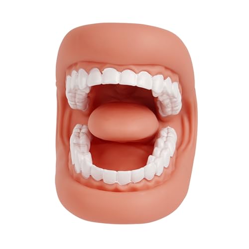 Zahnmedizin Material Dental Mund Handpuppe pädagogisches Zahnmodell mit Zunge für Sprachlerntherapie Demonstration von Generisch