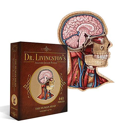 Genius Games Human Head - A Dr. Livingston's Human Anatomy 500 Piece Brain Jigsaw Puzzle - Educational 23 Inch Learning Toy for Children - Fun Kids Learn Medical Science Game - Anatomical Organs 3101 von Genius Games